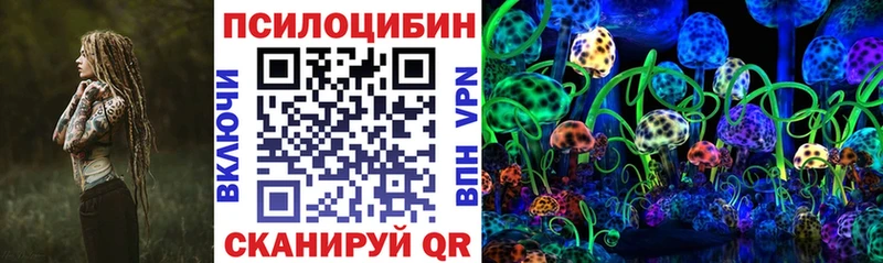 купить наркотики сайты  Балахна  Галлюциногенные грибы Psilocybe 