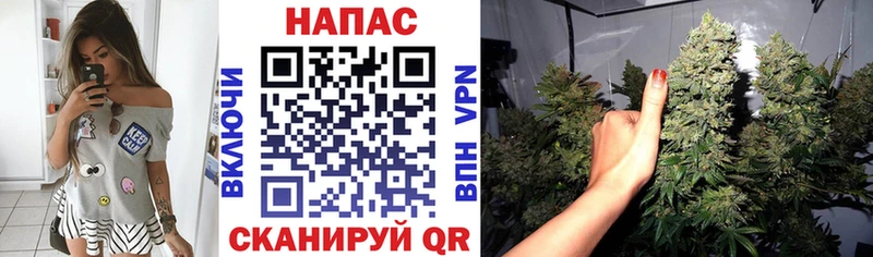 Канабис марихуана  Балахна 